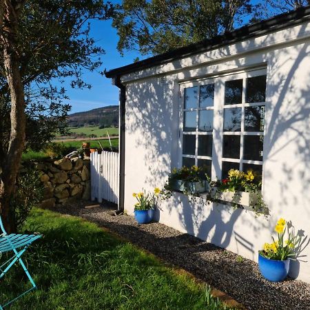Lynam Cottage Ashford Eksteriør bilde