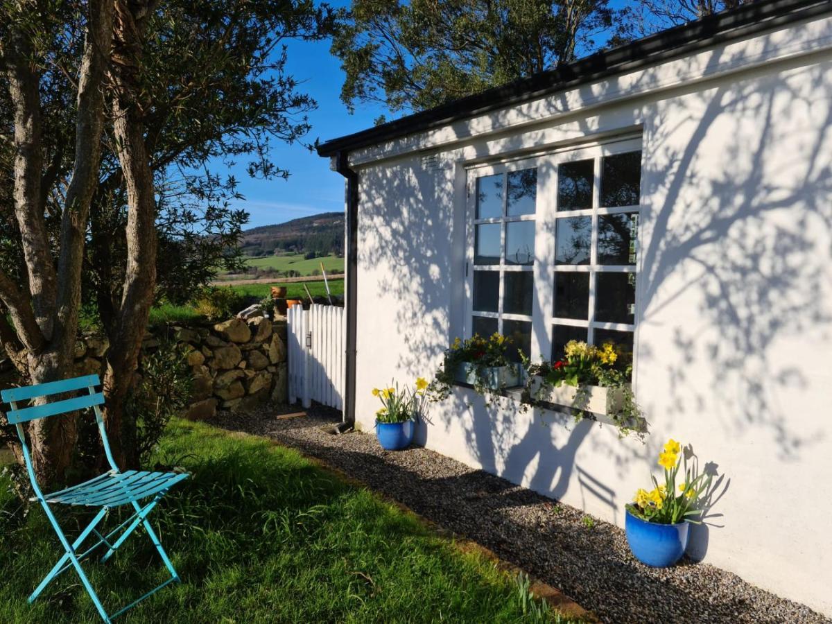 Lynam Cottage Ashford Eksteriør bilde